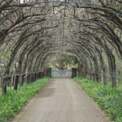 Gallery Image Number 2
