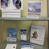 The Brain Trainer gallery