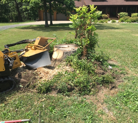 Tom's Stump Grinding - Chesterton, IN