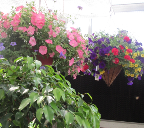 Delicious Baskets of Flemington Floral - Flemington, NJ