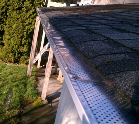 Gutter Guys Services - Bothell, WA