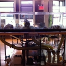 Beta Aquatic Toys & Maintenance - Aquariums & Aquarium Supplies-Leasing & Maintenance