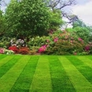 Lawn Appeal - Landscaping & Lawn Services