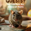 Carolina Pest Defense gallery