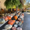 Peifer Orchards gallery