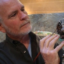 Gary Marsh Design - Landscape Designers & Consultants