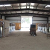 Rock-N-Oaks Stables, LLC gallery