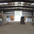 Rock-N-Oaks Stables, LLC - Horse Training