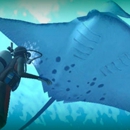 Big Island Divers - Diving Excursions & Charters