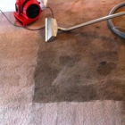 All Pro Carpet Cleaners