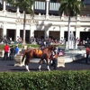 Gulfstream Park Racing And Casino gallery