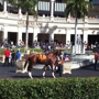 Gulfstream Park Racing And Casino