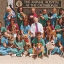 The Animal Hospital at the Crossroads - Pet Food