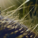 New Technology Pest Control - Pest Control Equipment & Supplies