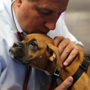 Philadelphia Animal Hospital - Veterinarians