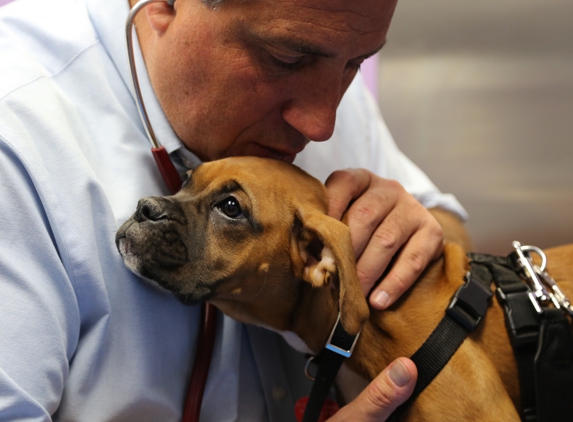 Philadelphia Animal Hospital - Philadelphia, PA