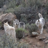 Keepers of the Wild Nature Park gallery