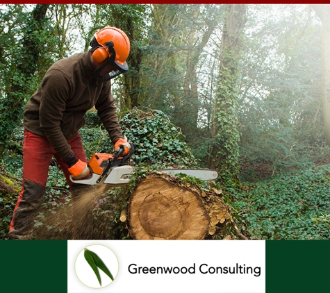 Greenwood Consulting Pty Ltd - Mount Dandenong, VIC. Bushfire Planning Reports