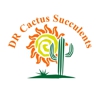 DR Cactus Succulents gallery