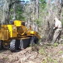 Stump Grinding Cheap - Stump Removal & Grinding