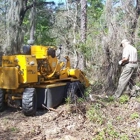 Rich Nichol Stump Grinding