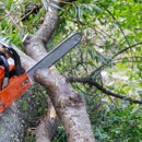Aspen Tree Expert Co., Inc. - Tree Service