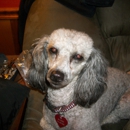 Pike County Ohio Humane Society