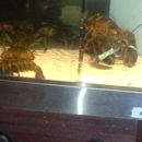 Red Lobster - Seafood Restaurants