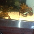 Red Lobster