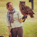 The Center for Birds of Prey - Tourist Information & Attractions
