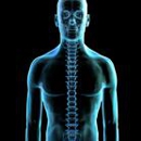 Clearway Pain Solutions Institute - Physicians & Surgeons, Pain Management
