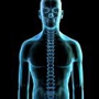Clearway Pain Solutions - Pensacola Chiropractic and PT
