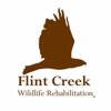 Flint Creek Wildlife Rehab Inc gallery