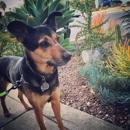 Tails 2 Trails - Pet Sitting & Exercising Services