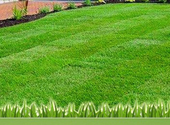 A View Turf
