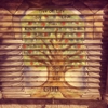 East West Novelty gallery