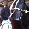 North Dllas Equestrian Center gallery