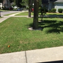 Polyrey Landscaping - Landscape Contractors