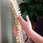 Rogers Back To Health Chiropractic