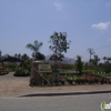 Rancho San Diego Nursery Inc gallery