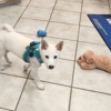 Jester Plaza Veterinary Clinic gallery