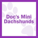 Docs Mini Dachshunds