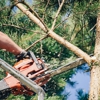 Garden City Tree Services gallery