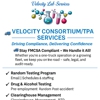 Velocity Lab Services gallery
