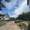 Against The Grain Tree Care gallery