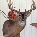 Sportmaster Taxidermy - Taxidermists