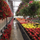 Ebert's Greenhouse Village