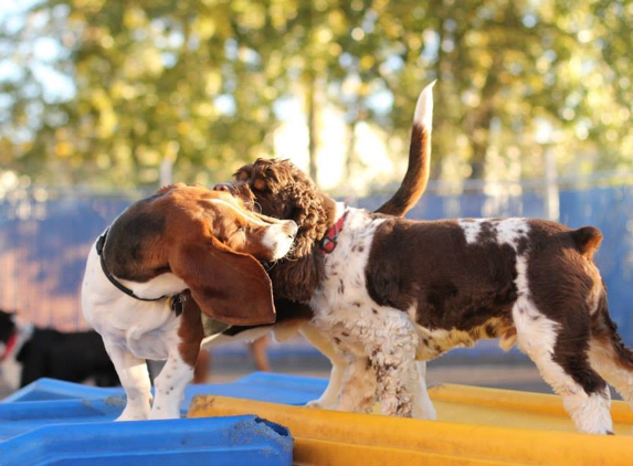 Lucky Dog Resort, South - Colorado Springs, CO