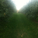 Thompson's Orchards - Orchards