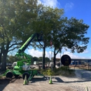 Prairie Tree Service - Tree Service